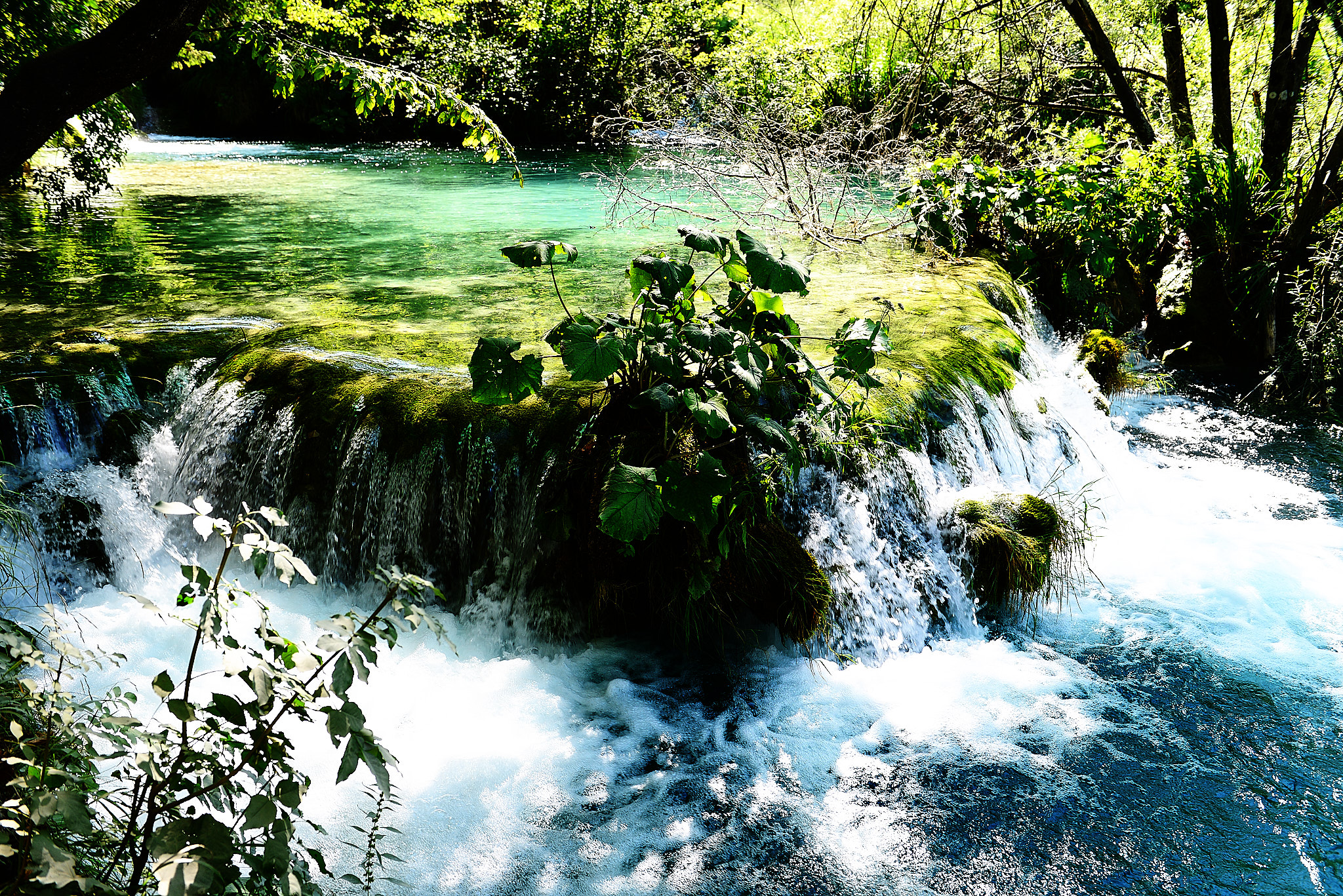 20120816 221 플리트비체 국립공원
